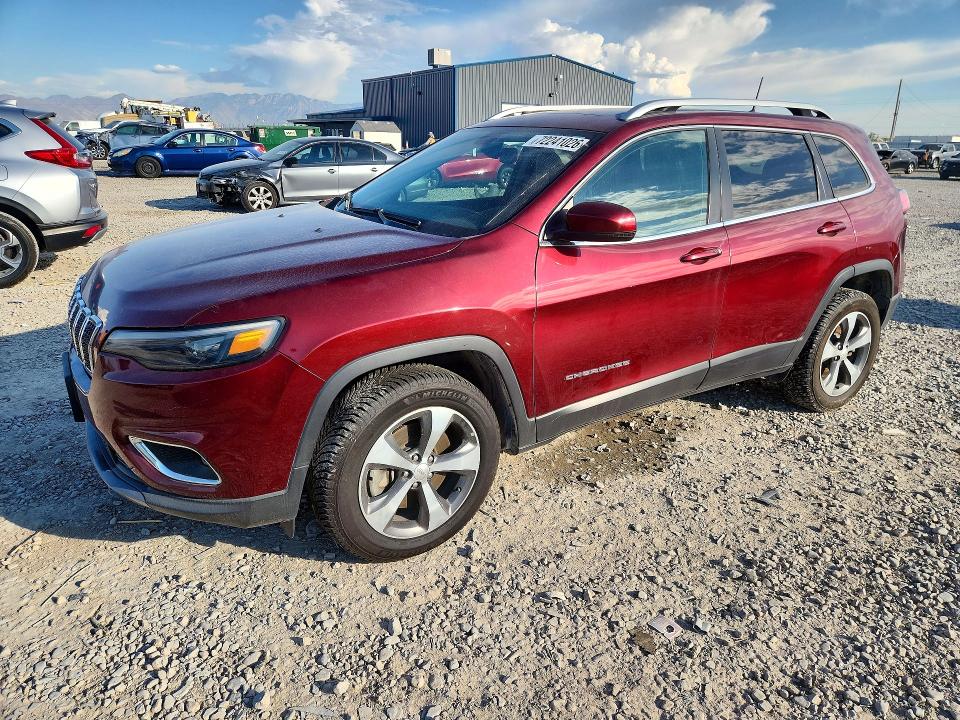 JEEP CHEROKEE 2019 with VIN 1C4PJMDN0KD299381 - Photo from auction