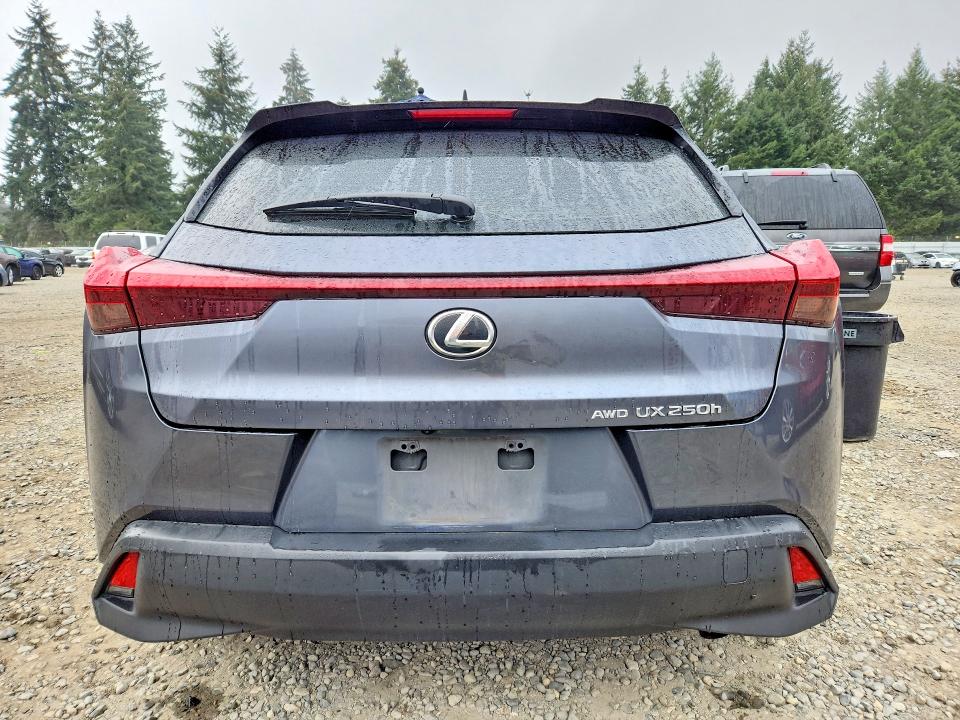 Photo 6 from auction – 2023 LEXUS UX 250H with VIN JTHP9JBH5P2065985