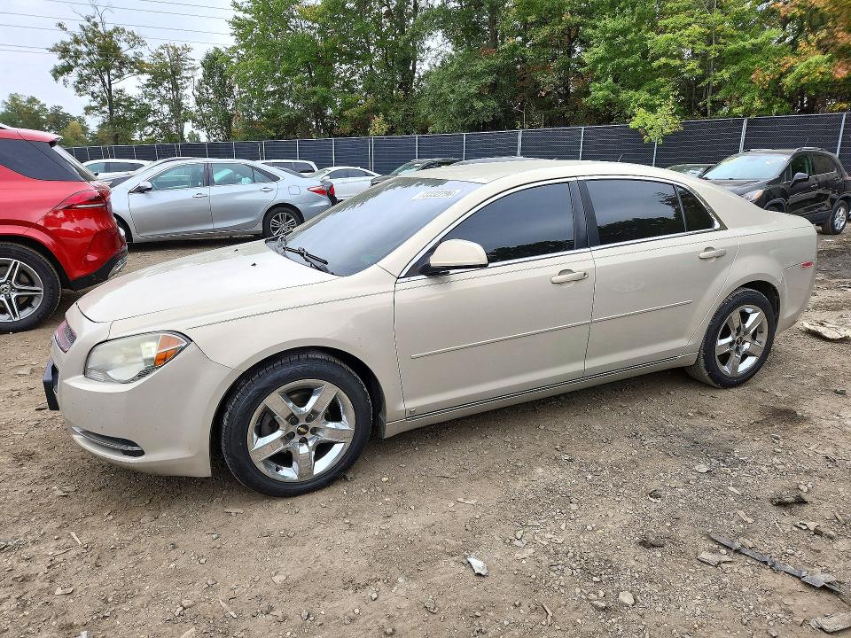 CHEVROLET MALIBU 2010 with VIN 1G1ZC5EB6AF130765 - Photo from auction