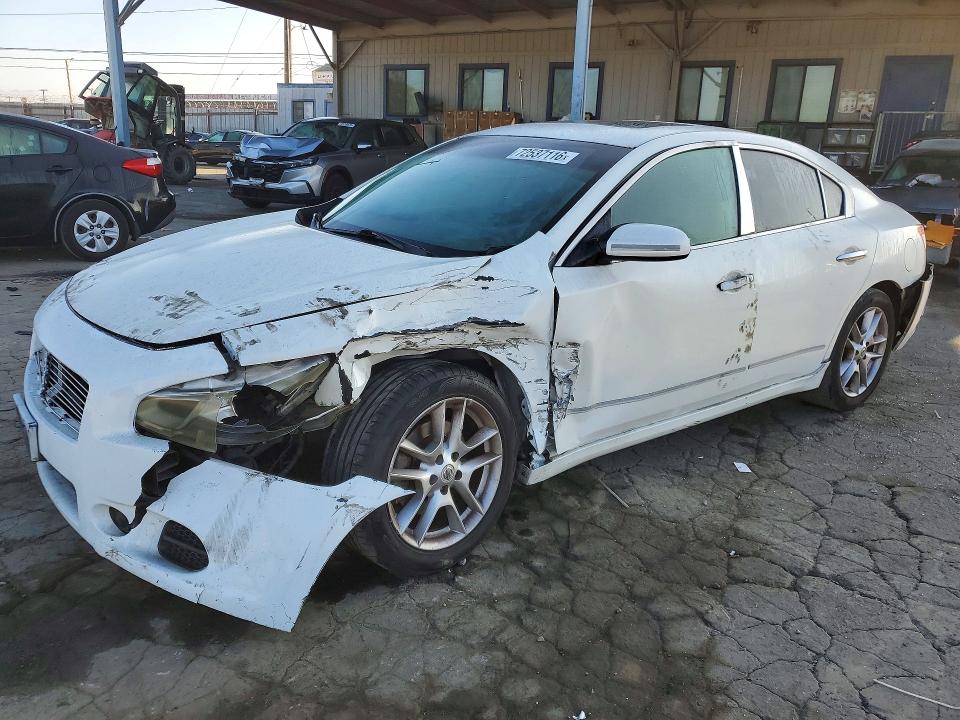 NISSAN MAXIMA 2009 with VIN 1N4AA51E19C816905 - Photo from auction
