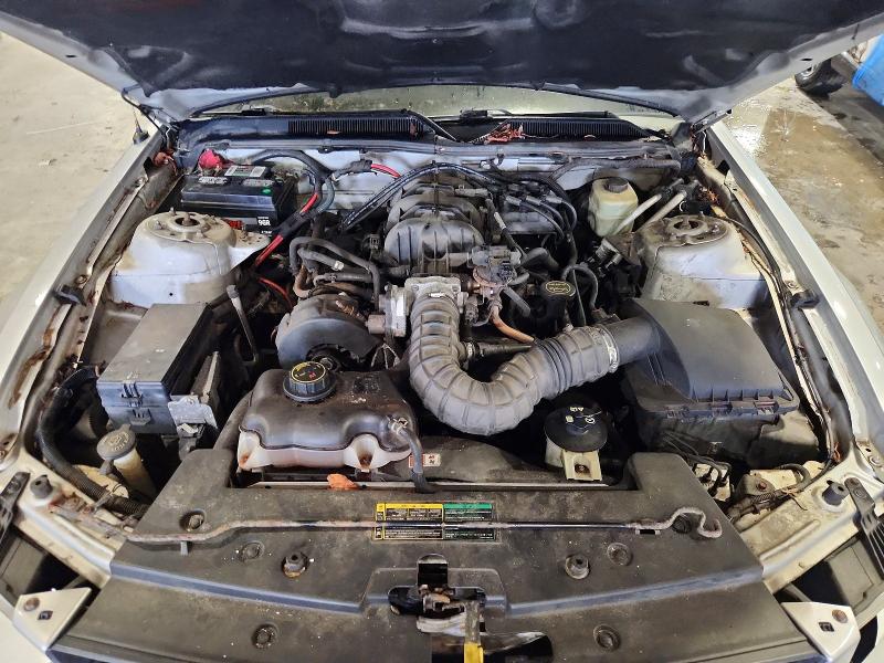 Photo 11 from auction – 2005 FORD MUSTANG with VIN 1ZVFT84N255186881