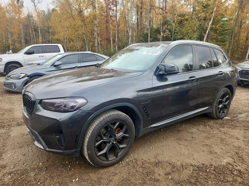 BMW X3 2023 con VIN 5UX63DP03P9R83484 - Foto de la subasta