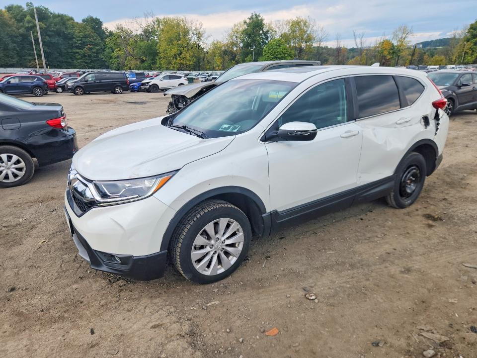 HONDA CR-V 2019 with VIN 5J6RW2H81KL010950 - Photo from auction
