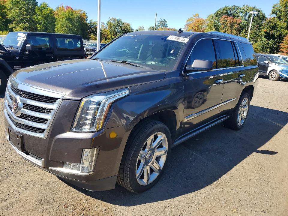 CADILLAC ESCALADE 2015 with VIN 1GYS4CKJ3FR309223 - Photo from auction