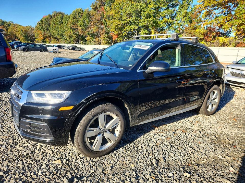 AUDI Q5 2019 с VIN WA1BNAFY5K2064923 - Снимка от търг