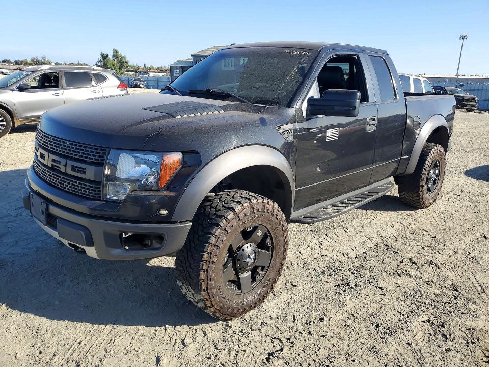 FORD F150 2010 with VIN 1FTEX1EV8AFA99080 - Photo from auction