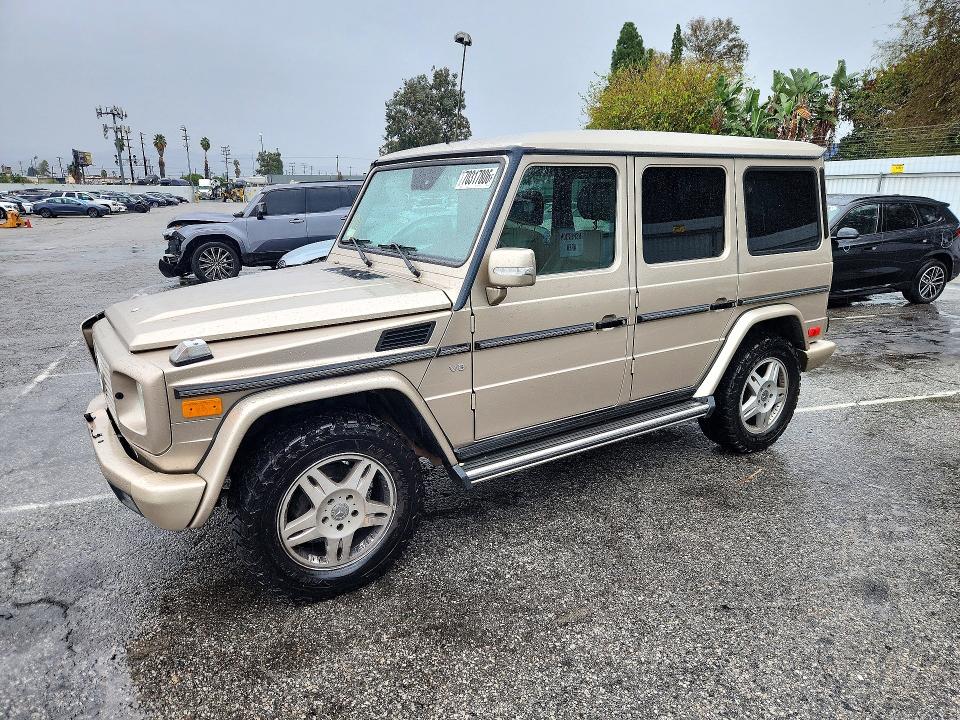 MERCEDES-BENZ G 2003 с VIN WDCYR49E63X136685 - Снимка от търг
