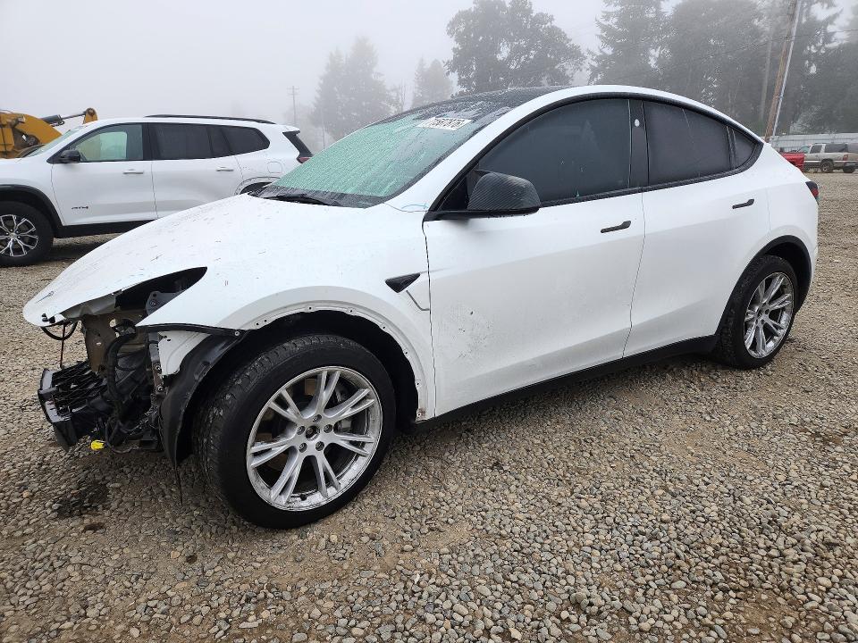 Фото 1 с аукциона – 2023 TESLA MODEL Y с VIN 7SAYGDEE5PF816887