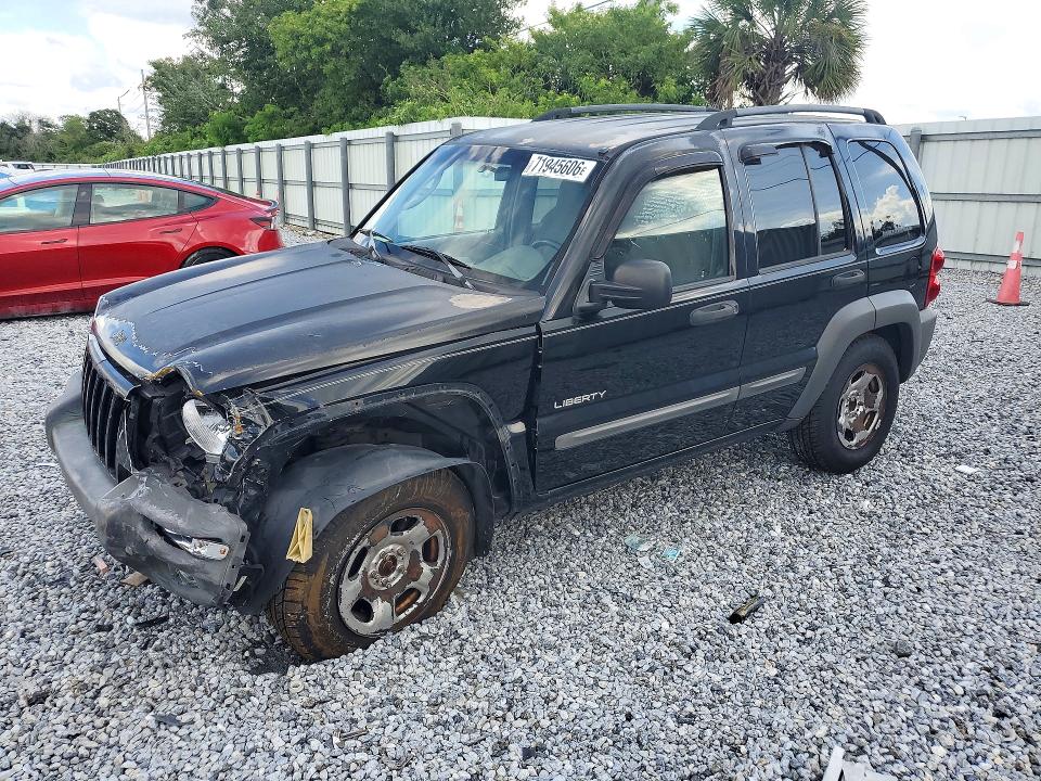 2004 JEEP LIBERTY - Търг №71945606
