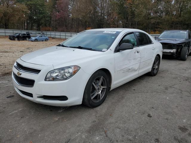 CHEVROLET MALIBU LS 2012 with VIN 1G1ZA5EU0CF388158 - Photo from auction