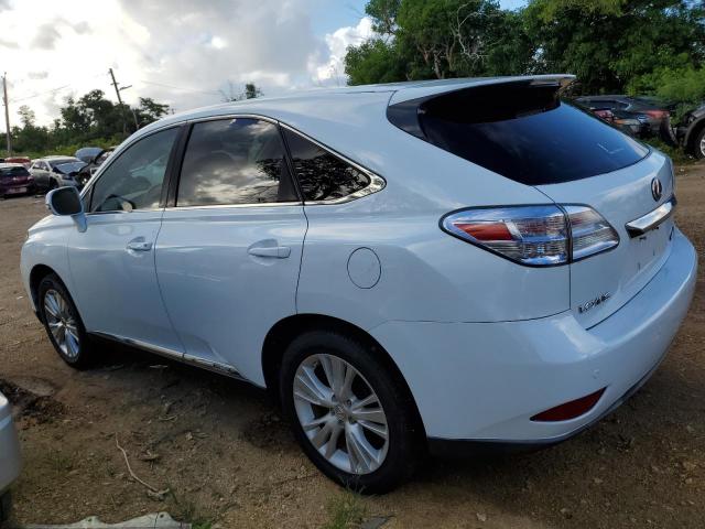 Photo 2 from auction – 2010 LEXUS RX 450 with VIN JTJZB1BAXA2003715