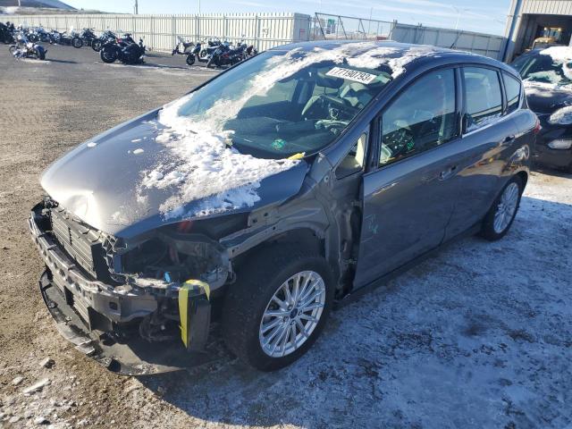 FORD C-MAX SEL 2013 with VIN 1FADP5BU9DL535106 - Photo from auction