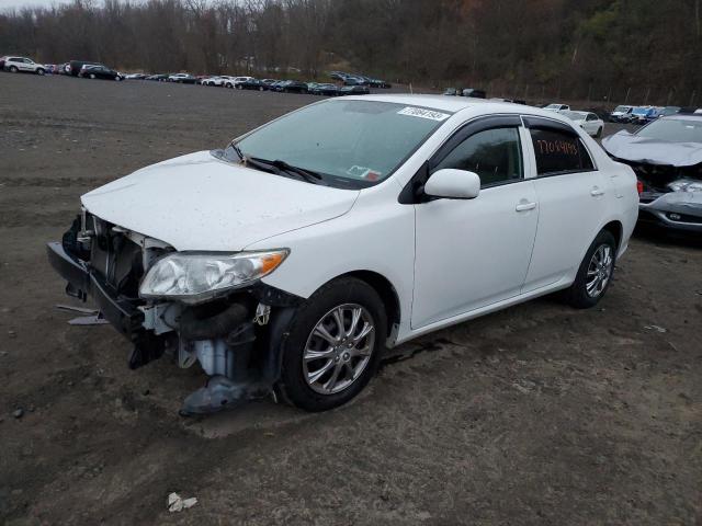 TOYOTA COROLLA BA 2010 with VIN 1NXBU4EE8AZ326871 - Photo from auction