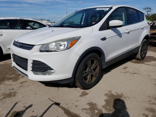 FORD ESCAPE SE 2014 with VIN 1FMCU0GXXEUC69106 - Photo from auction