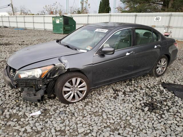 HONDA ACCORD EXL 2011 with VIN 1HGCP3F80BA014048 - Photo from auction