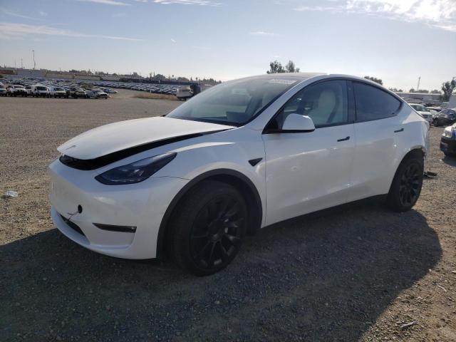 TESLA MODEL Y 2022 with VIN 7SAYGDEEXNF555687 - Photo from auction