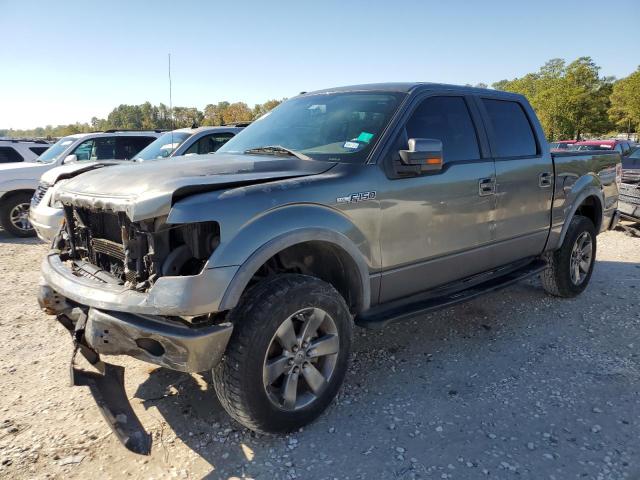 FORD F150 SUPER 2010 with VIN 1FTFW1EV8AFB81138 - Photo from auction