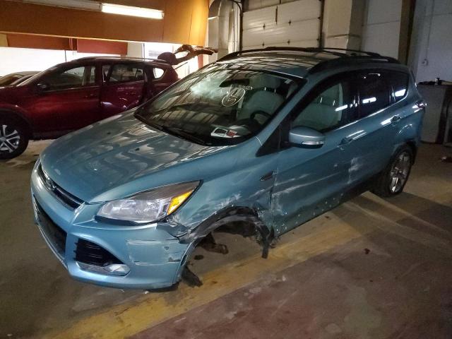 FORD ESCAPE SEL 2013 with VIN 1FMCU0HX5DUC53733 - Photo from auction