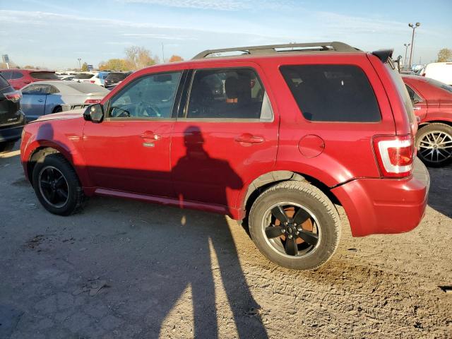 Photo 2 from auction – 2010 FORD ESCAPE XLT with VIN 1FMCU0DG5AKC50862