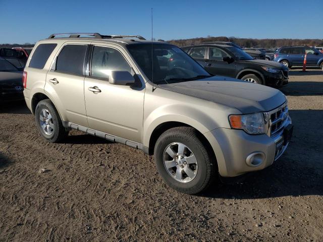 Photo 4 from auction – 2010 FORD ESCAPE LIM with VIN 1FMCU9EG9AKB12261