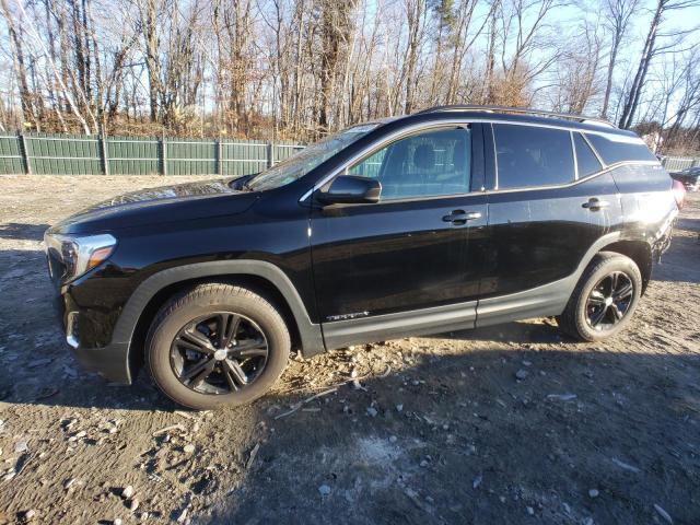 GMC TERRAIN SL 2020 with VIN 3GKALTEV9LL215910 - Photo from auction