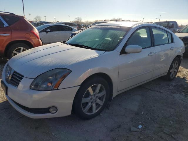NISSAN MAXIMA SE 2004 with VIN 1N4BA41E64C928509 - Photo from auction
