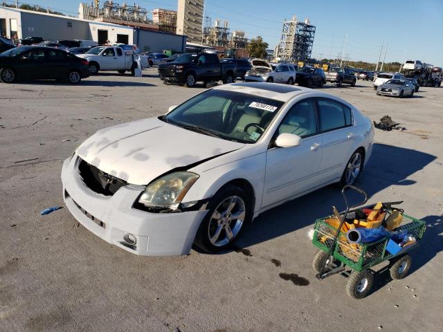 NISSAN MAXIMA SE 2005 with VIN 1N4BA41E05C843294 - Photo from auction