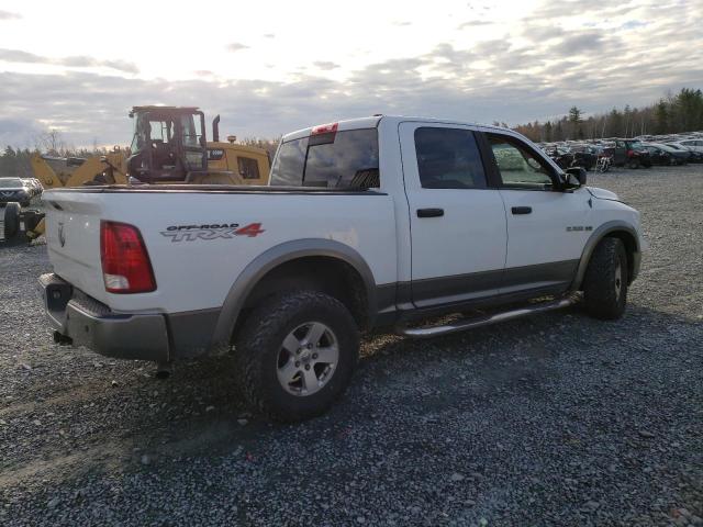 Photo 3 from auction – 2010 DODGE RAM 1500 with VIN 1D7RV1CTXAS169605