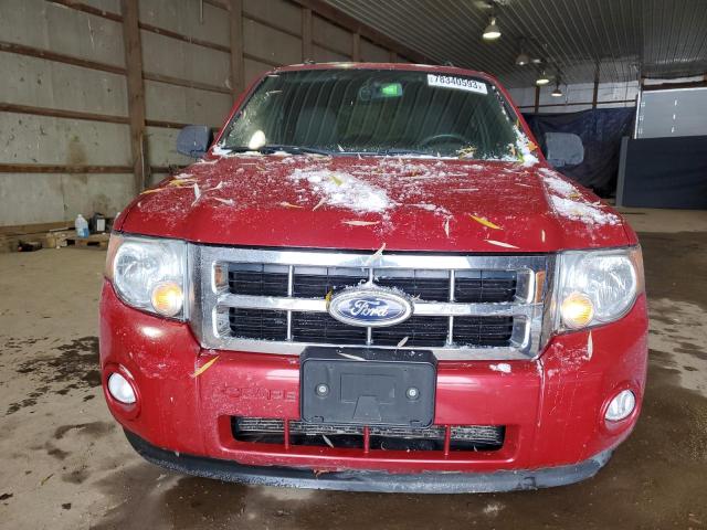 Photo 5 from auction – 2010 FORD ESCAPE XLT with VIN 1FMCU0DG2AKC25028