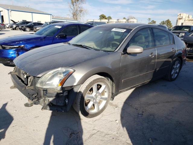 NISSAN MAXIMA SE 2005 with VIN 1N4BA41E55C874444 - Photo from auction