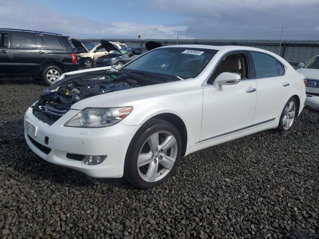 LEXUS LS 460L 2012 with VIN JTHGL5EF3C5045777 - Photo from auction