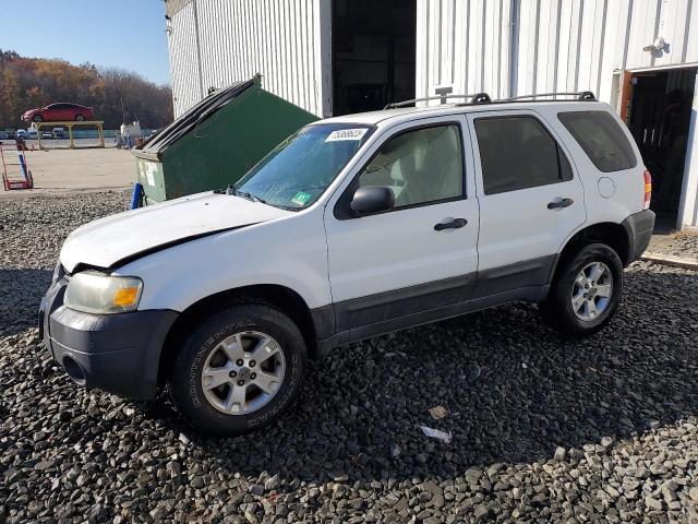 FORD ESCAPE XLT 2006 with VIN 1FMYU93186KD54082 - Photo from auction
