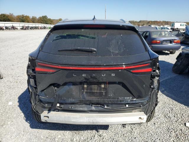 Photo 6 from auction – 2023 LEXUS NX 250 with VIN 2T2ADCEZ4PC002993