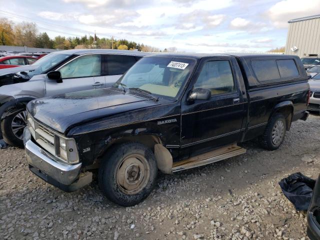 DODGE DAKOTA 1989 with VIN 1B7FL26X3KS188666 - Photo from auction