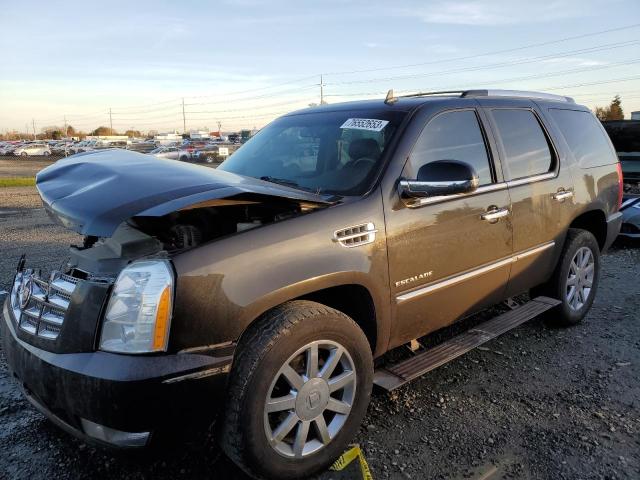 CADILLAC ESCALADE P 2011 with VIN 1GYS4CEF4BR254217 - Photo from auction