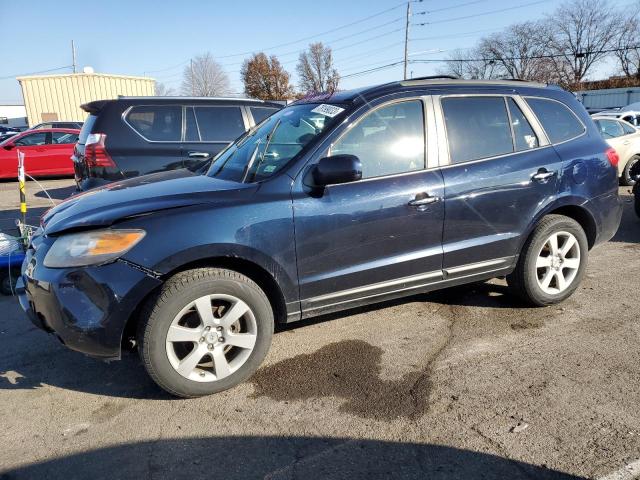 HYUNDAI SANTA FE S 2007 with VIN 5NMSH73E87H037101 - Photo from auction