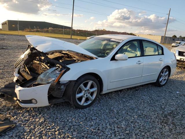 NISSAN MAXIMA SE 2005 with VIN 1N4BA41E85C800306 - Photo from auction
