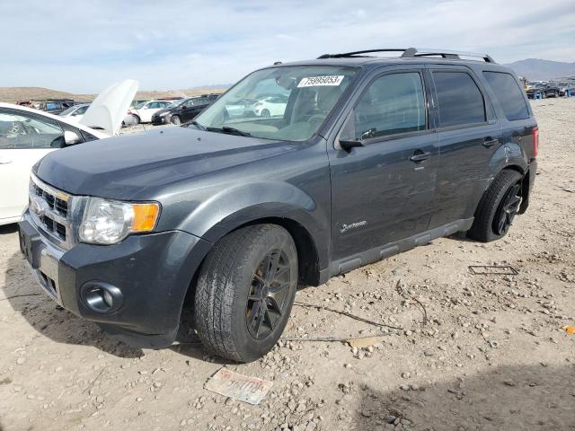 FORD ESCAPE HYB 2010 with VIN 1FMCU5K34AKB56744 - Photo from auction