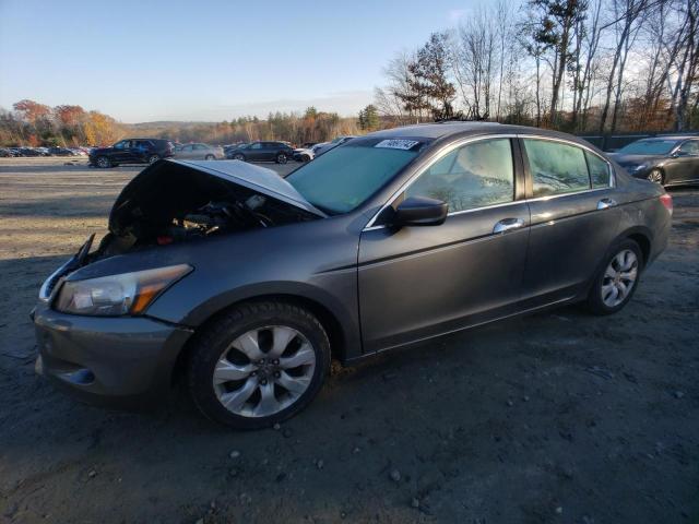 HONDA ACCORD EXL 2010 with VIN 1HGCP3F84AA032180 - Photo from auction