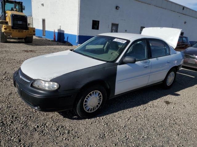 CHEVROLET MALIBU 2001 with VIN 1G1ND52J316102543 - Photo from auction