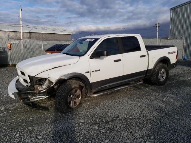 DODGE RAM 1500 2010 z numerem VIN 1D7RV1CTXAS169605 - Zdjęcie z aukcji