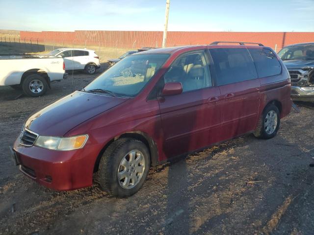 HONDA ODYSSEY EX 2004 with VIN 5FNRL18004B077306 - Photo from auction
