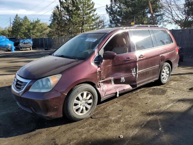HONDA ODYSSEY EX 2008 z numerem VIN 5FNRL38658B417331 - Zdjęcie z aukcji