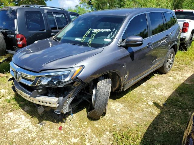 HONDA PILOT EX 2019 with VIN 5FNYF5H36KB041153 - Photo from auction