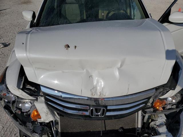 Photo 11 from auction – 2012 HONDA ACCORD EXL with VIN 1HGCP3F80CA007540