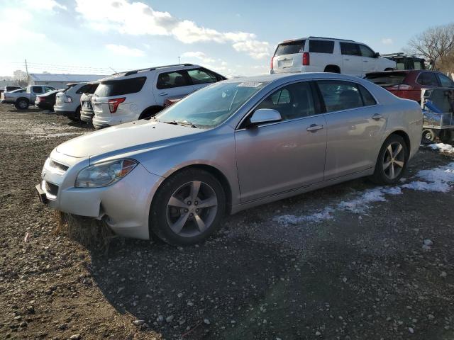 CHEVROLET MALIBU 1LT 2011 with VIN 1G1ZC5E10BF256175 - Photo from auction