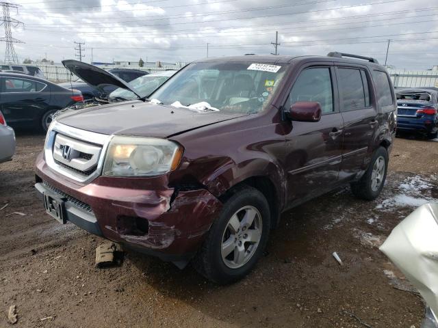 HONDA PILOT EXL 2011 with VIN 5FNYF4H53BB072629 - Photo from auction