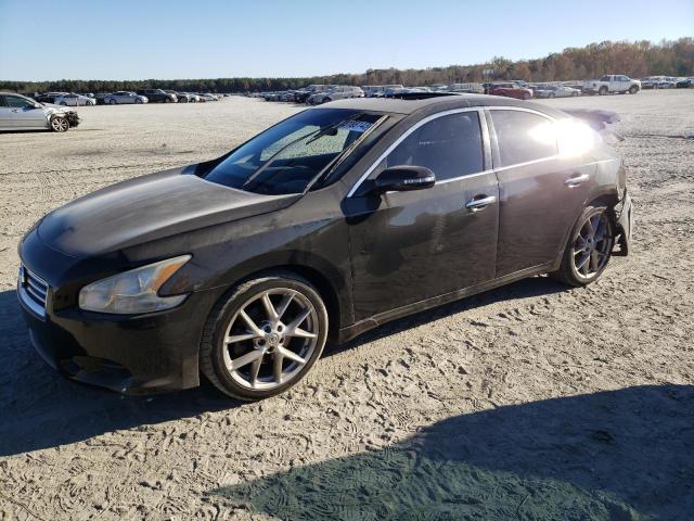NISSAN MAXIMA S 2010 with VIN 1N4AA5AP4AC858894 - Photo from auction