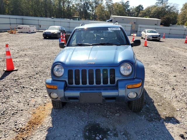 Photo 5 from auction – 2003 JEEP LIBERTY LI with VIN 1J4GL58K63W624664
