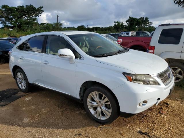 Photo 4 from auction – 2010 LEXUS RX 450 with VIN JTJZB1BAXA2003715